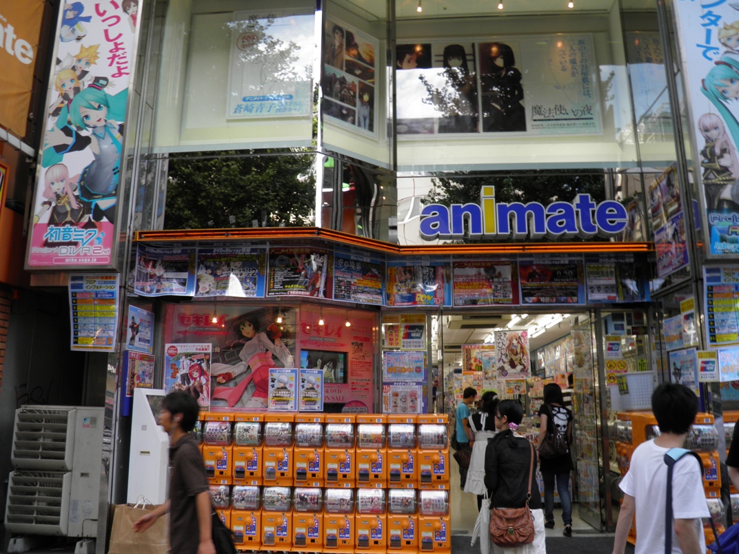 Animate Animate